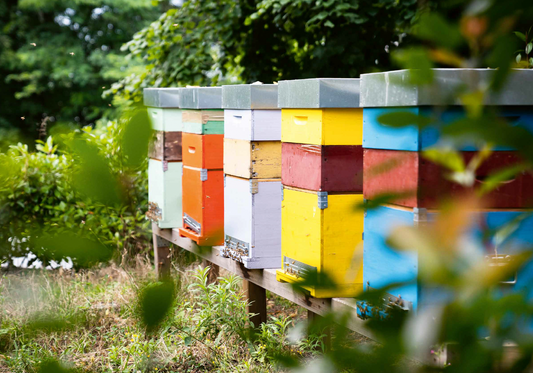 Gute Arbeitsplätze für  Bienen bei Relais & Châteaux