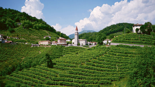 Die Welt der Fellini-Weine im Paket