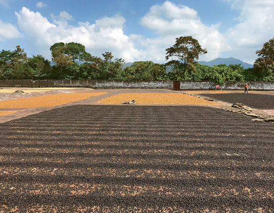 El Salvador: Auf der Suche nach dem perfekten Bourbon