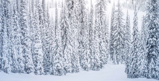 Die 75 besten Winterhotels der Schweiz