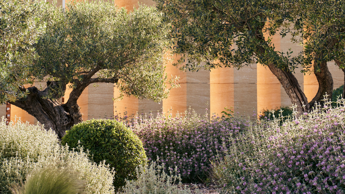 130 Jahre Domaines Ott*: Rosés mit Tiefe aus der Provence